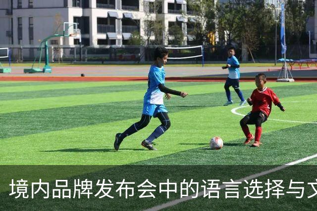 境内品牌发布会中的语言选择与文化认同问题研究